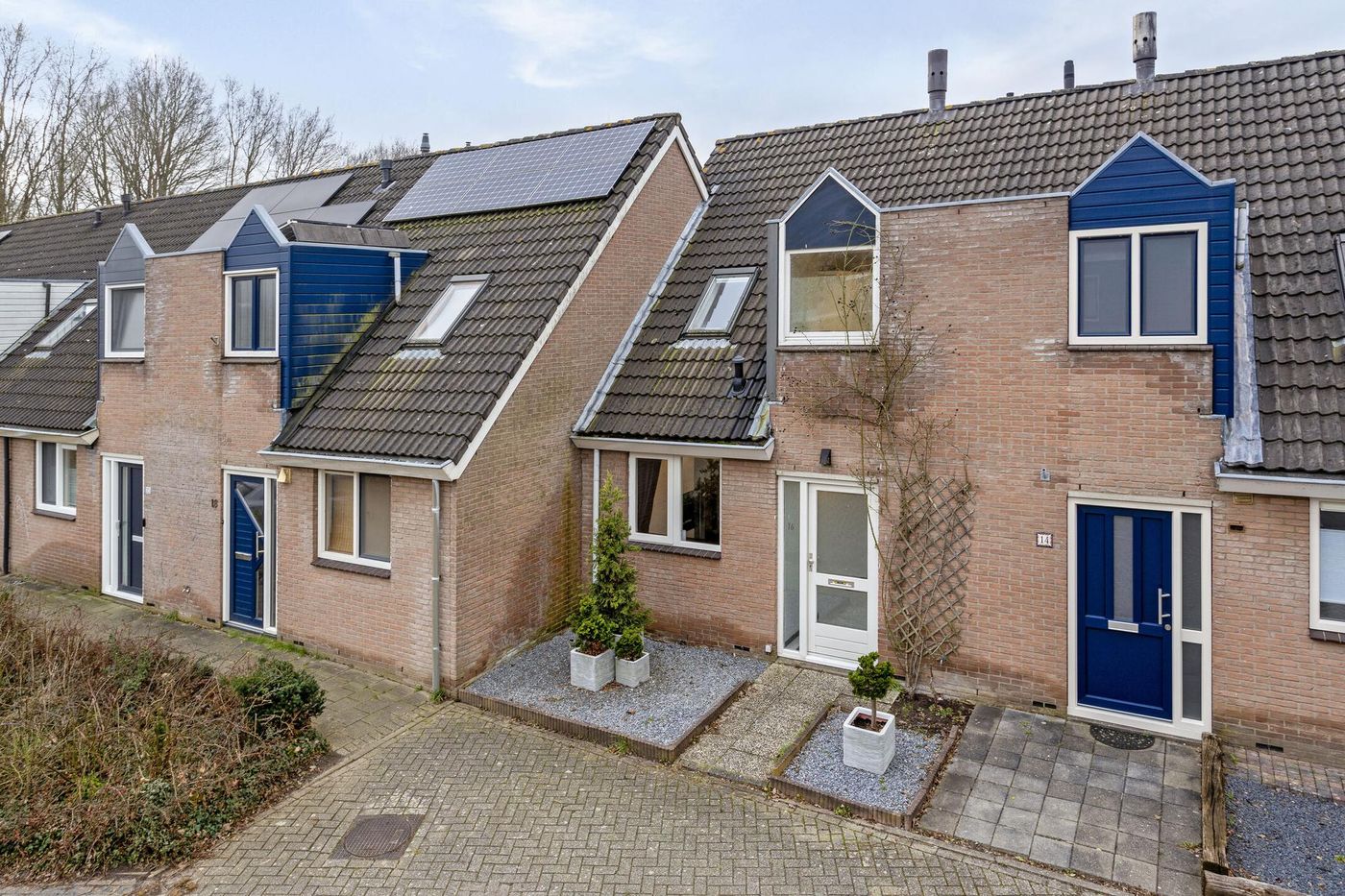 Deventer Bosanemoon 16 – Hoofdfoto