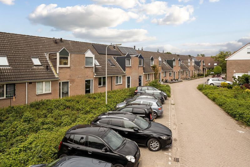 Deventer Bosanemoon 22 – Foto 11