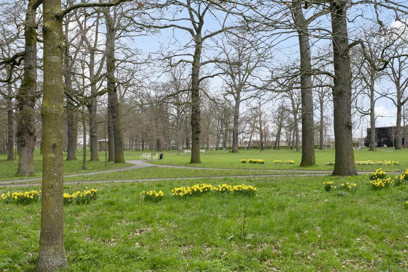 Deventer Rozenstraat 5 – Foto 25