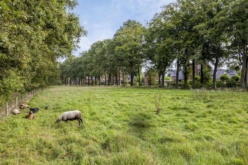 Deventer Ab Hakeboomstraat 14 – Foto 4