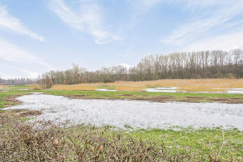 Deventer Claes Jansz Visscherstraat 31 – Foto 26