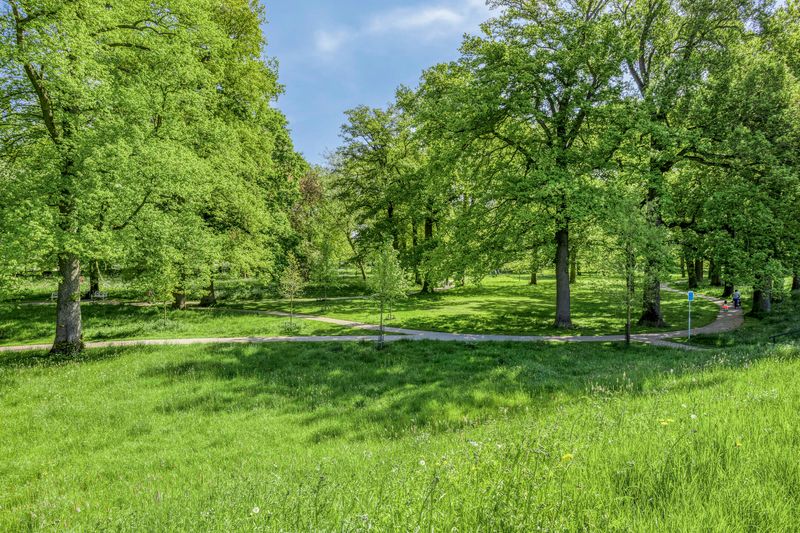 Deventer Vonderstraat 37 – Foto 49