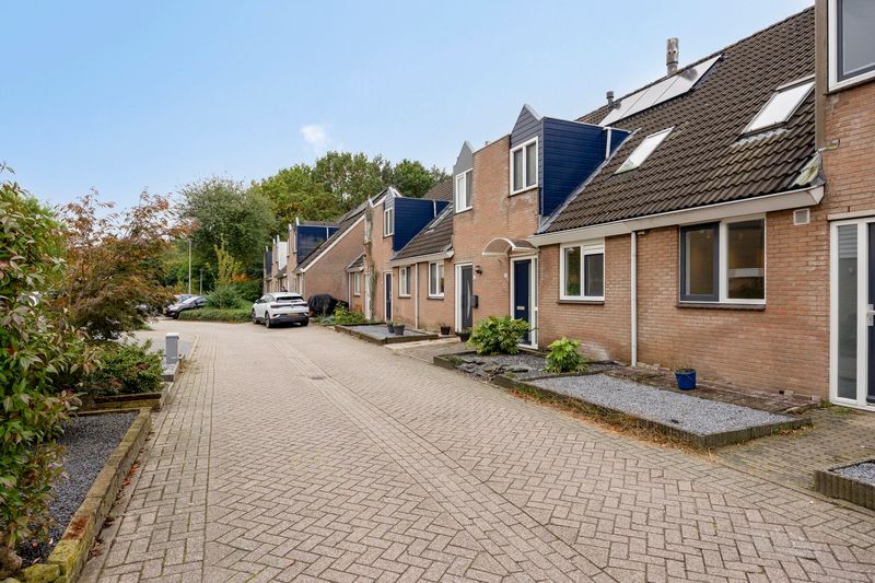 Deventer Bosanemoon 10 – Foto 21