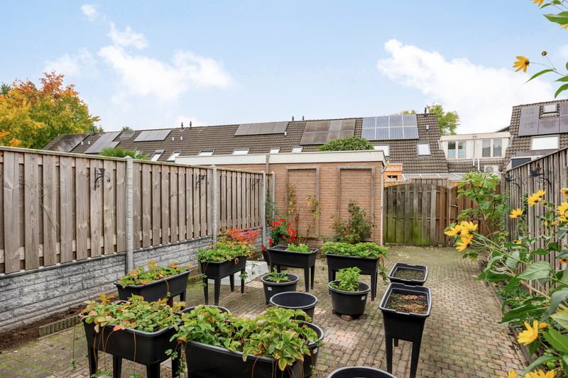 Deventer Bosanemoon 10 – Foto 15