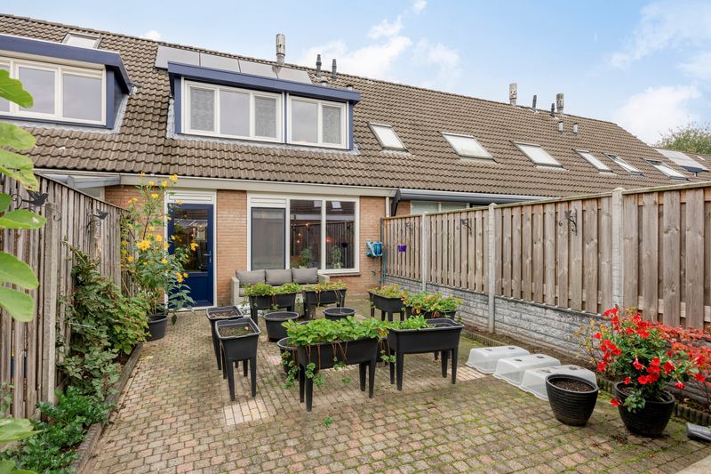 Deventer Bosanemoon 10 – Foto 14