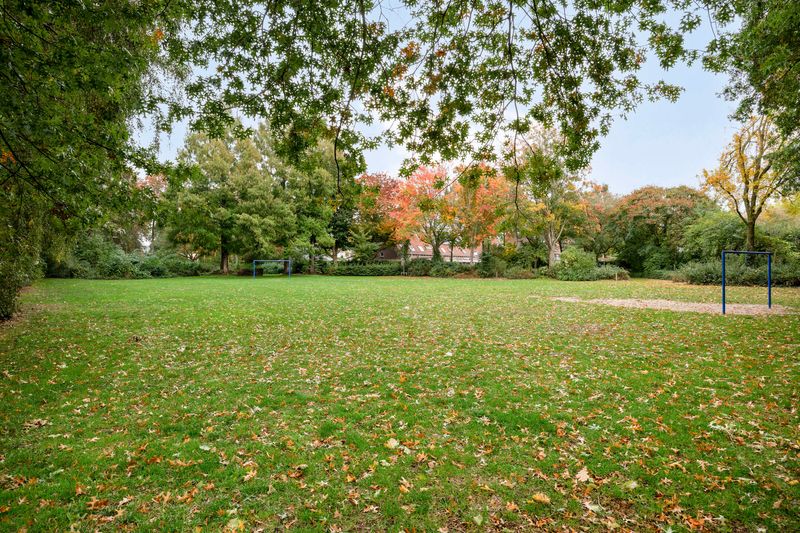 Deventer Bosanemoon 10 – Foto 23