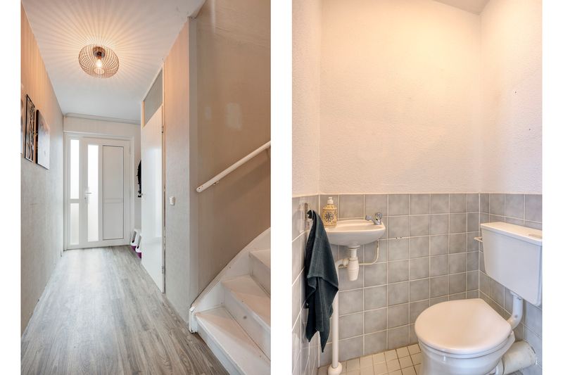 Deventer Bosanemoon 10 – Foto 6