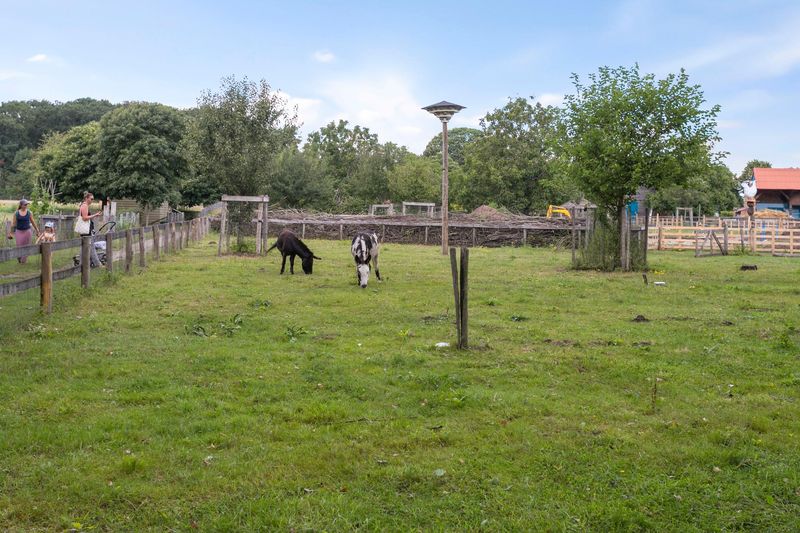 Deventer Kromhoutstraat 43 – Foto 2