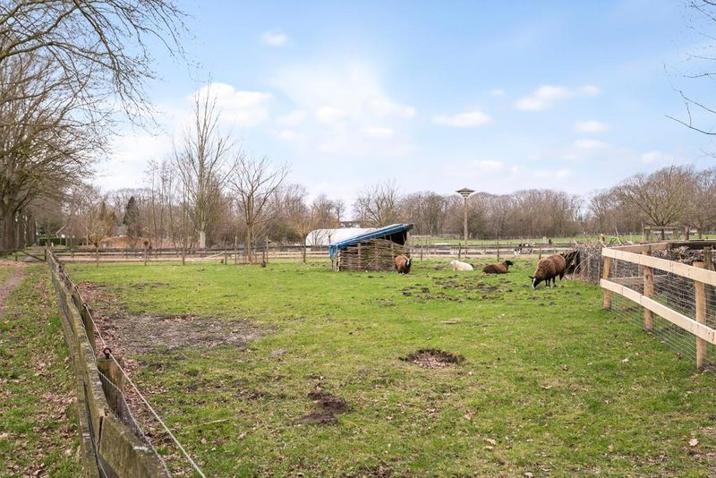 Deventer Van der Meystraat 7 – Foto 9