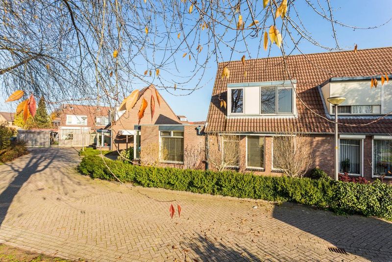 Deventer Kamille 13 – Foto 21