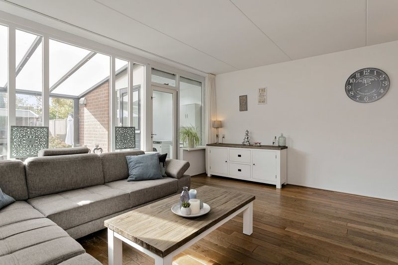 Deventer Vlaamse gaai 20 – Foto 3