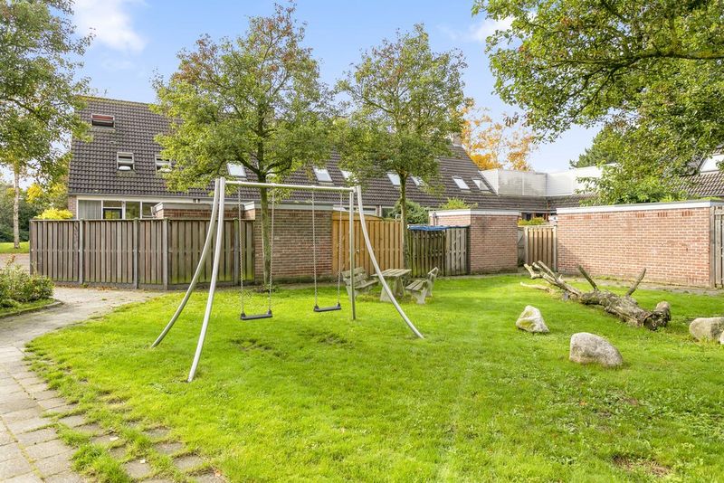 Deventer Vlaamse gaai 20 – Foto