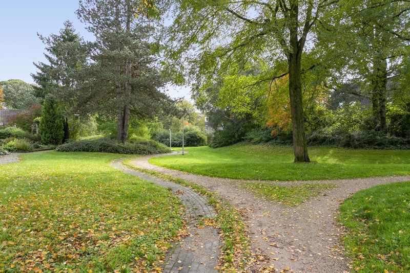 Deventer Vlaamse gaai 20 – Foto 27