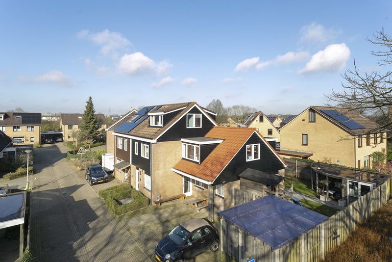Deventer Kamille 2 – Hoofdfoto