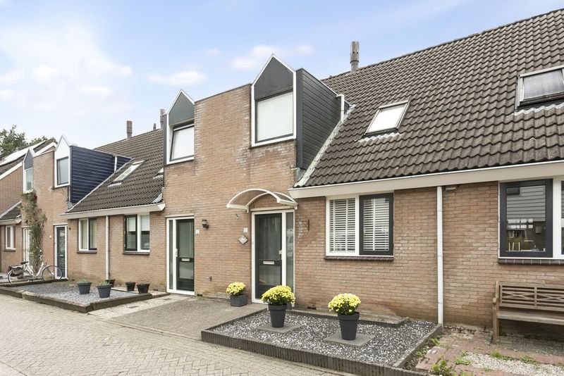 Deventer Bosanemoon 10 – Hoofdfoto