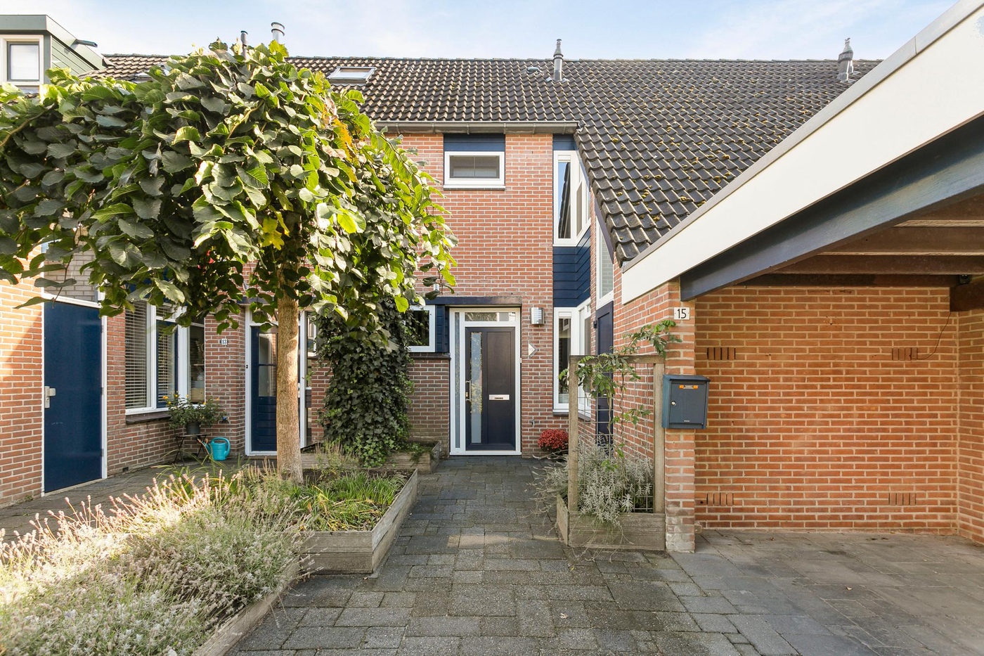 Deventer Citroenvlinder 15 – Hoofdfoto