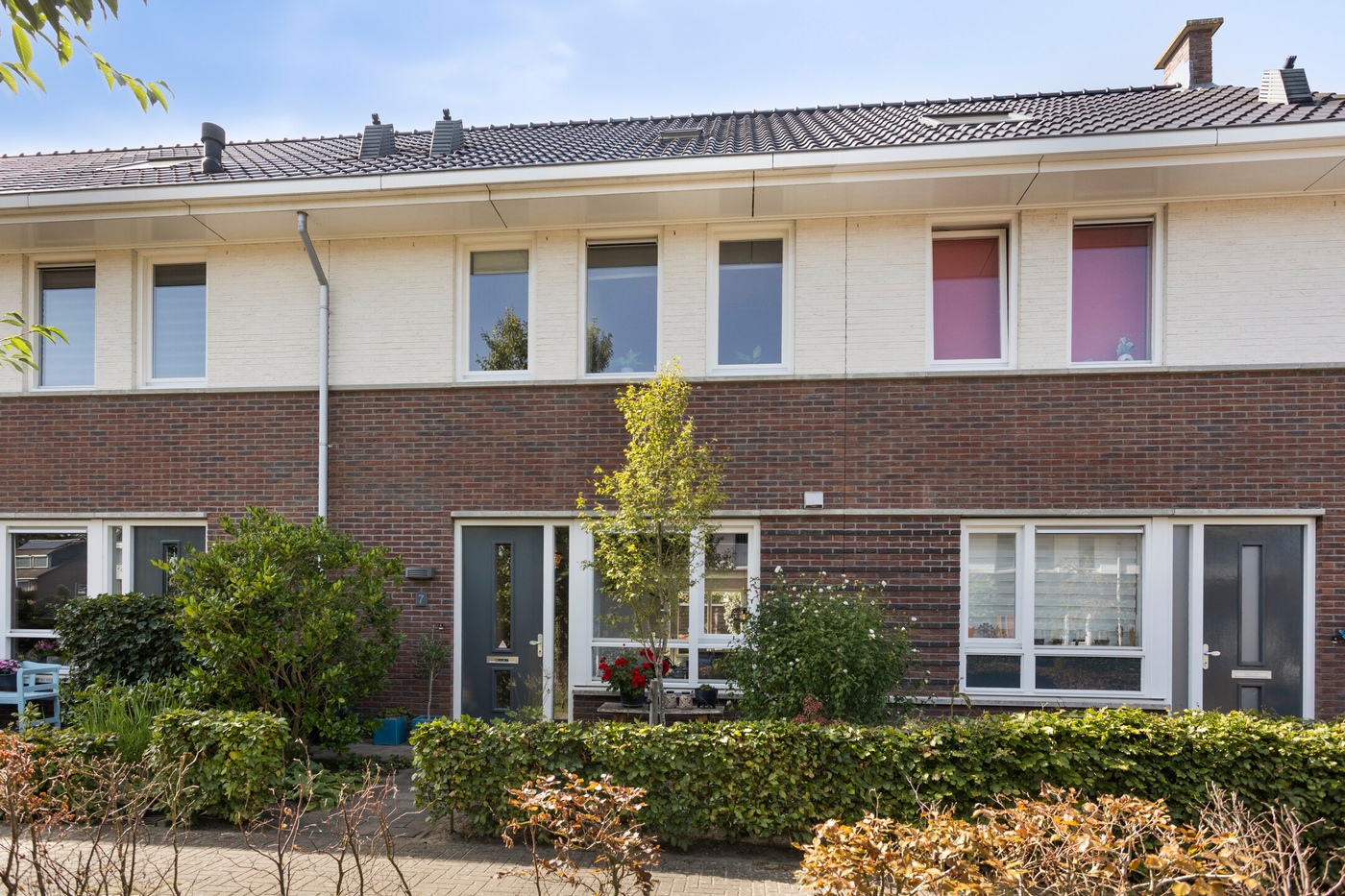 Epse Haeverhorst 7 – Hoofdfoto