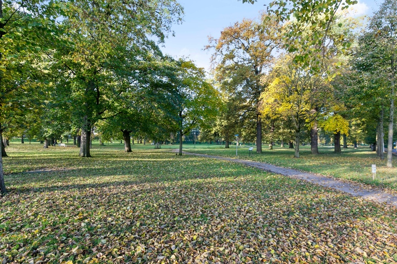 Deventer Langestraat 104a – Foto 23