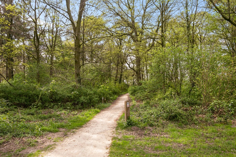 Deventer Erasmusstraat 62 – Foto 18