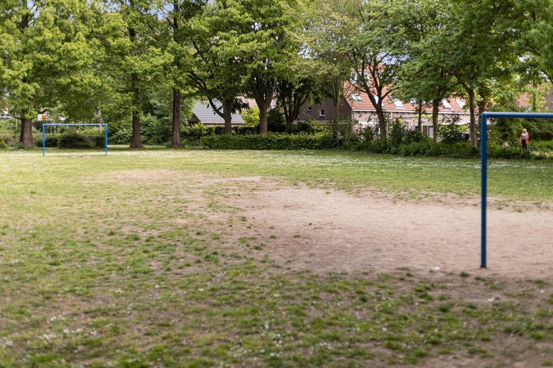 Deventer Bosanemoon 22 – Foto 10