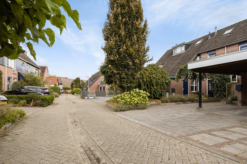 Deventer Citroenvlinder 15 – Foto 23