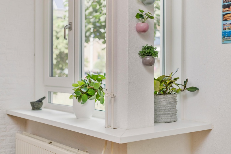 Deventer Citroenvlinder 15 – Foto 5