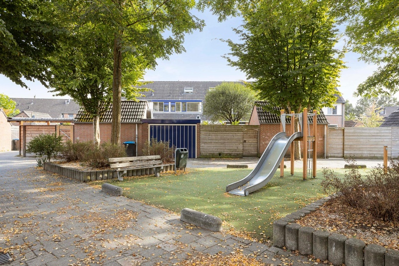 Deventer Citroenvlinder 15 – Foto 27