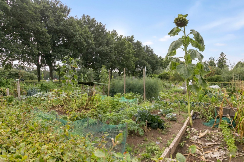 Deventer Johan Wensinkstraat 92 – Foto 22