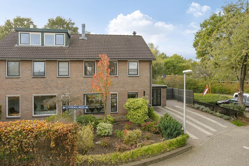 Deventer Citroenvlinder 31 – Foto 31