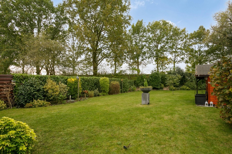 Deventer Citroenvlinder 31 – Foto 29