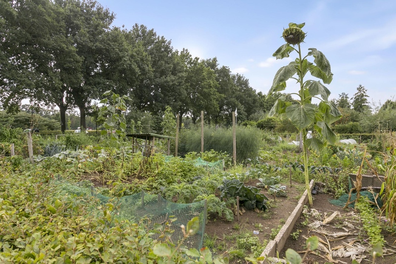 Deventer De Bazelstraat 23 – Foto 23