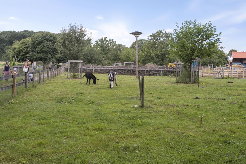 Deventer De Bazelstraat 23 – Foto 29