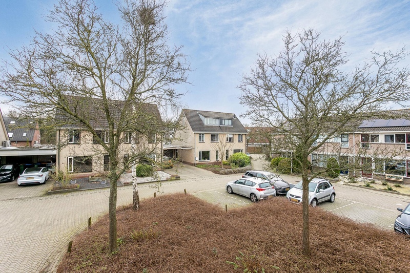 Deventer Kamperfoelie 50 – Foto