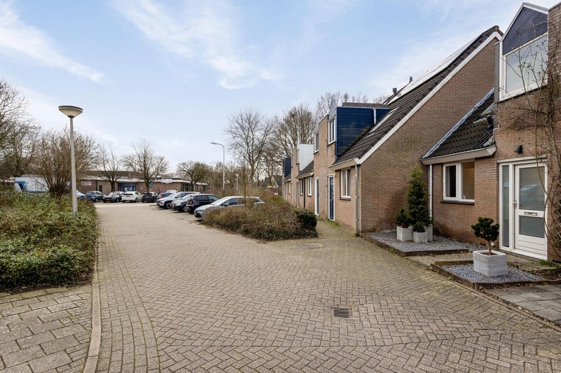 Deventer Bosanemoon 16 – Foto 23