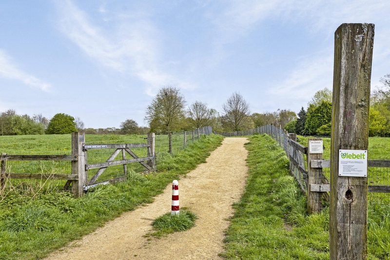 Deventer Roodborst 14 – Foto 10