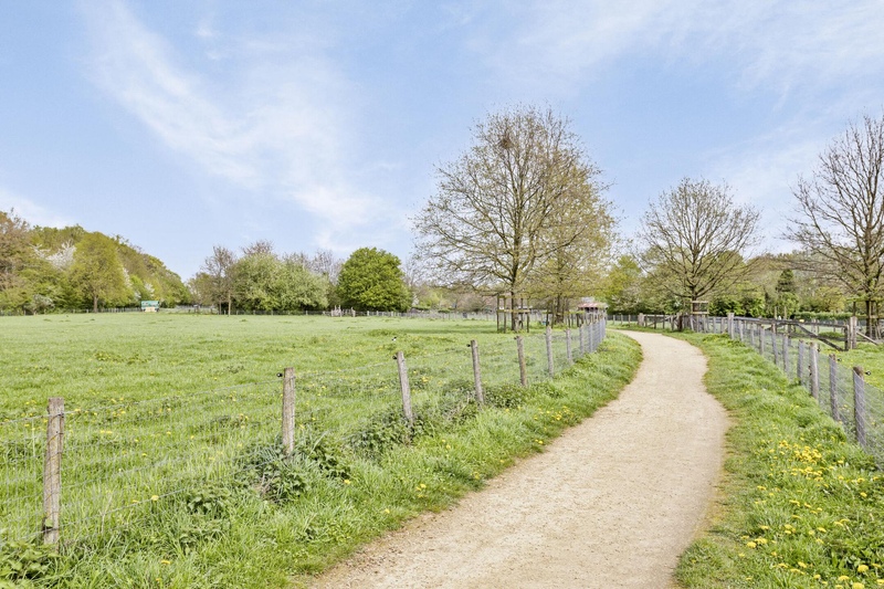 Deventer Roodborst 14 – Foto 6