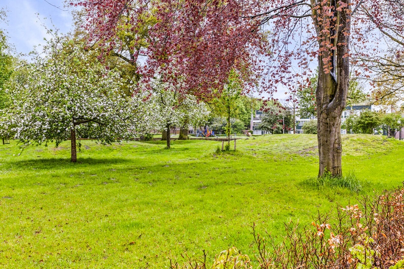 Deventer Slangenburg 331 – Foto 18