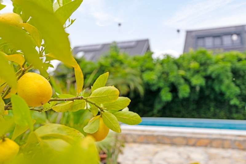 Deventer Heukelenseweg 18A – Foto 31