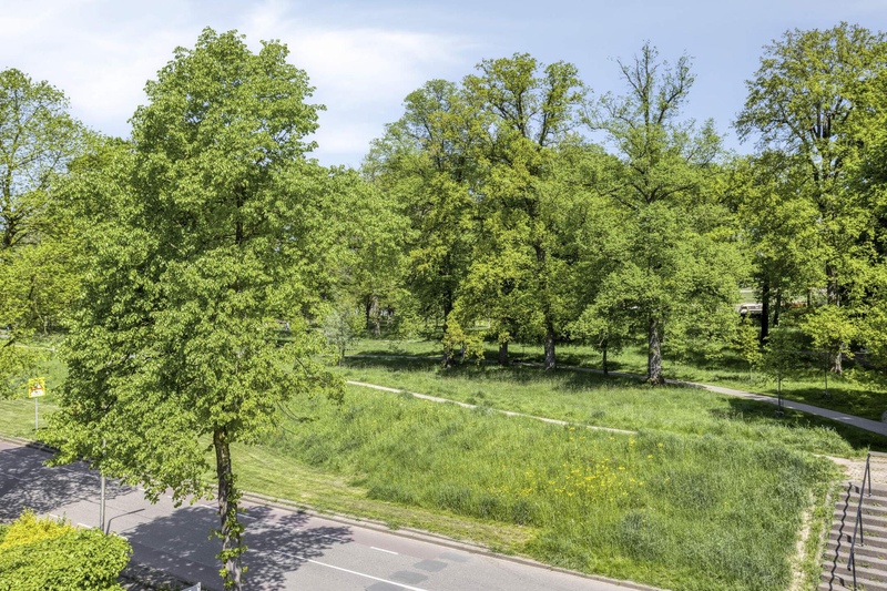 Deventer Worp 65 – Foto 27