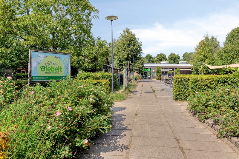 Deventer Van Ravesteynpad 41 – Foto 31