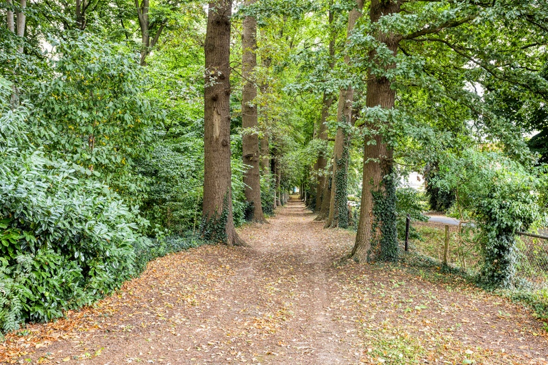 Schalkhaar Timmermansweg 23 – Foto 35