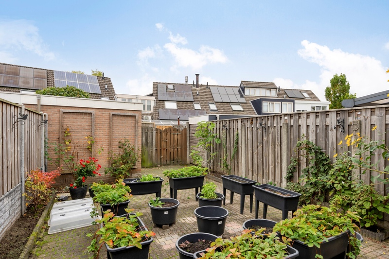 Deventer Bosanemoon 10 – Foto 16