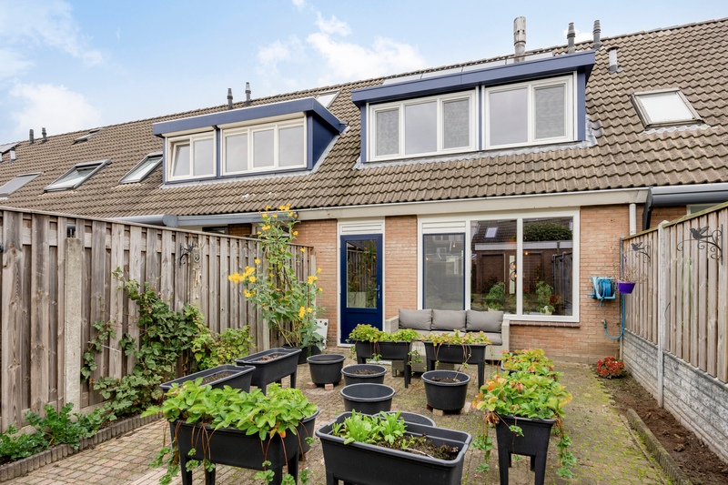 Deventer Bosanemoon 10 – Foto 17