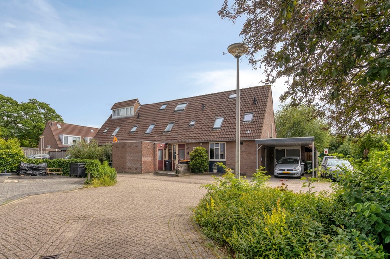 Deventer Kamille 5 – Foto