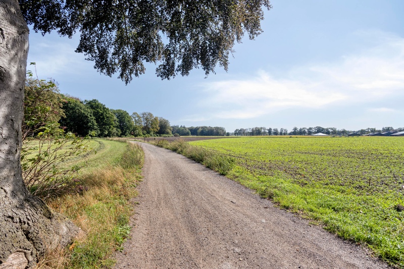 Epse Haeverhorst 7 – Foto 25