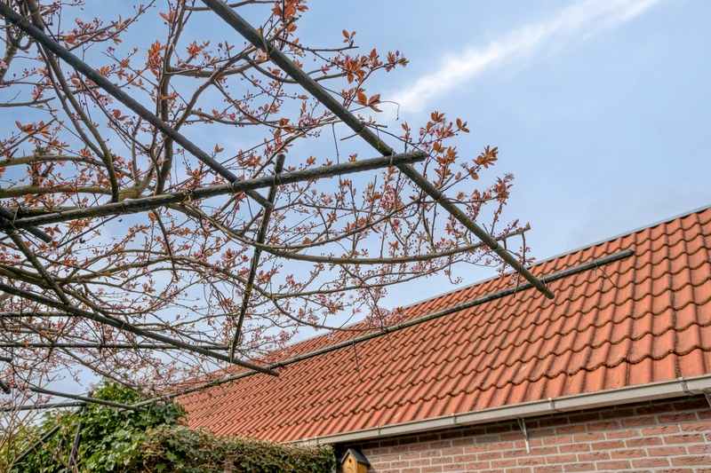 Deventer Langestraat 106 – Foto 29