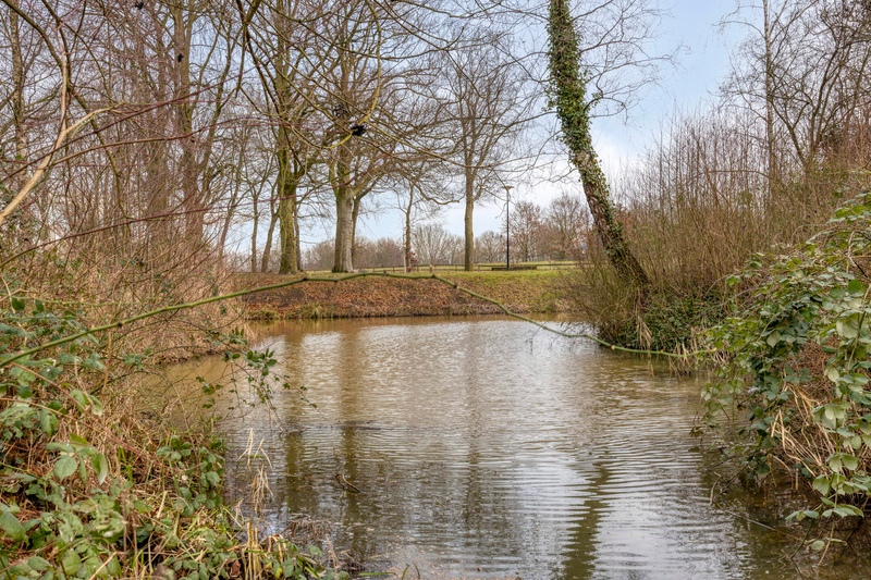 Deventer Winterkoning 19 – Foto 34