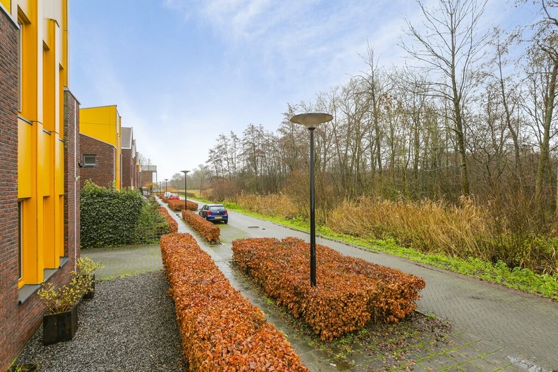 Deventer Romeyn de Hooghestraat 53 – Foto 20