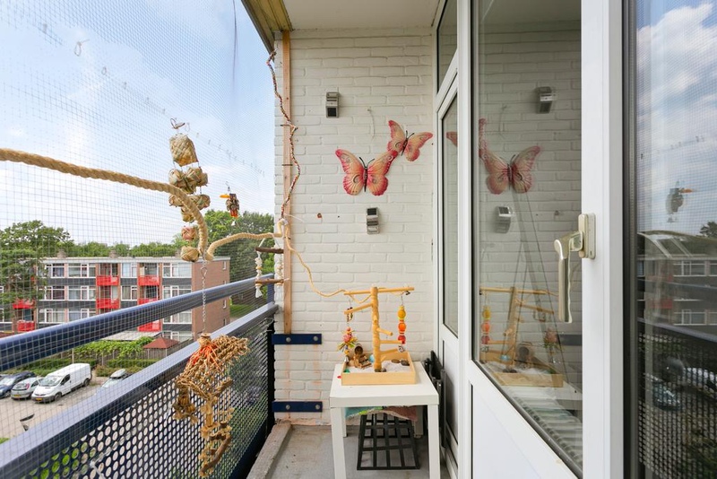 Deventer Haringvlietstraat 48 – Foto 4