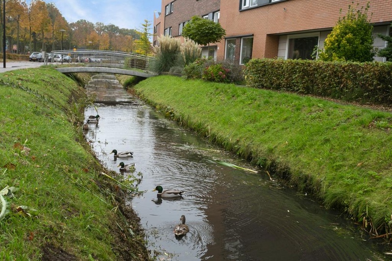 Deventer Leonard Springerlaan 235 – Foto 18